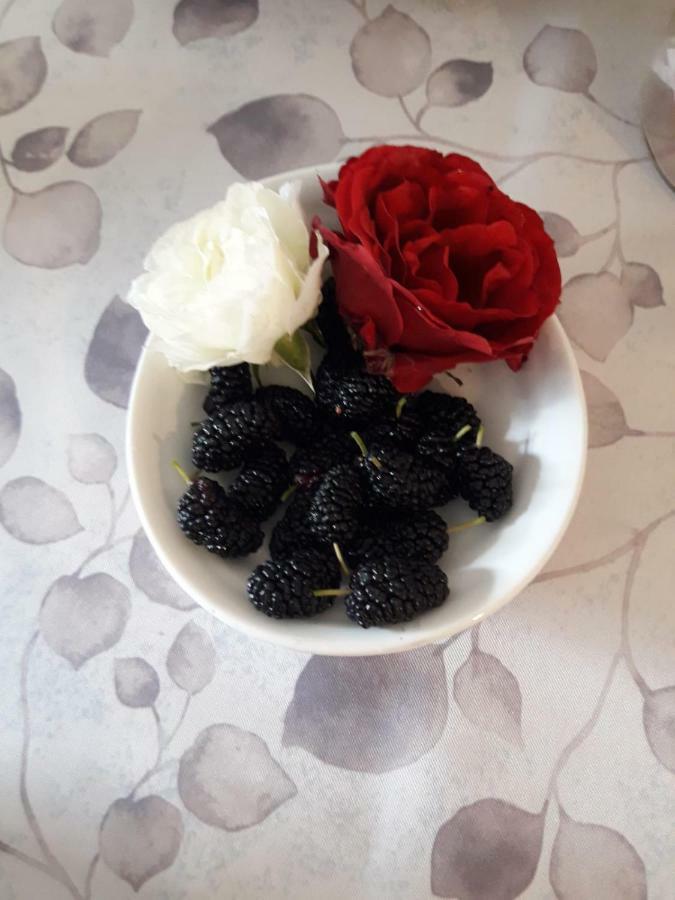 Pecore Ribelli มิรา ภายนอก รูปภาพ